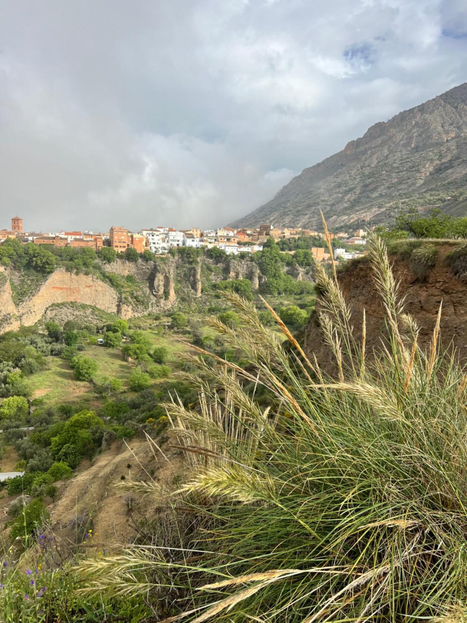 Acequias Casa Morayma, Lecrin, Granada (Adults Only)酒店 外观 照片